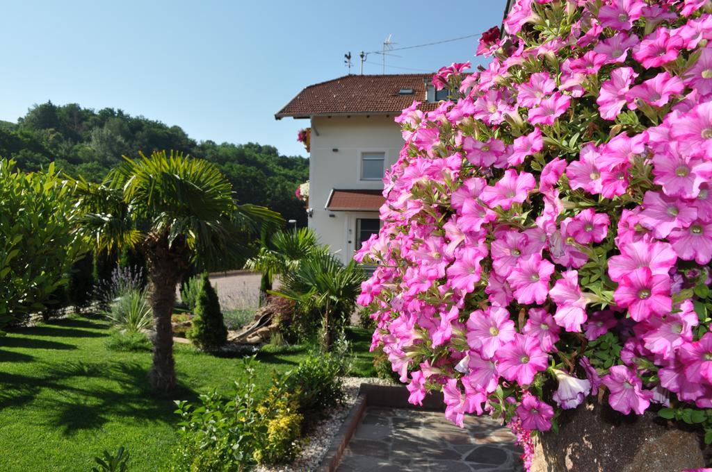 Garni San Paolo Hotel Eppan an der Weinstraße Buitenkant foto