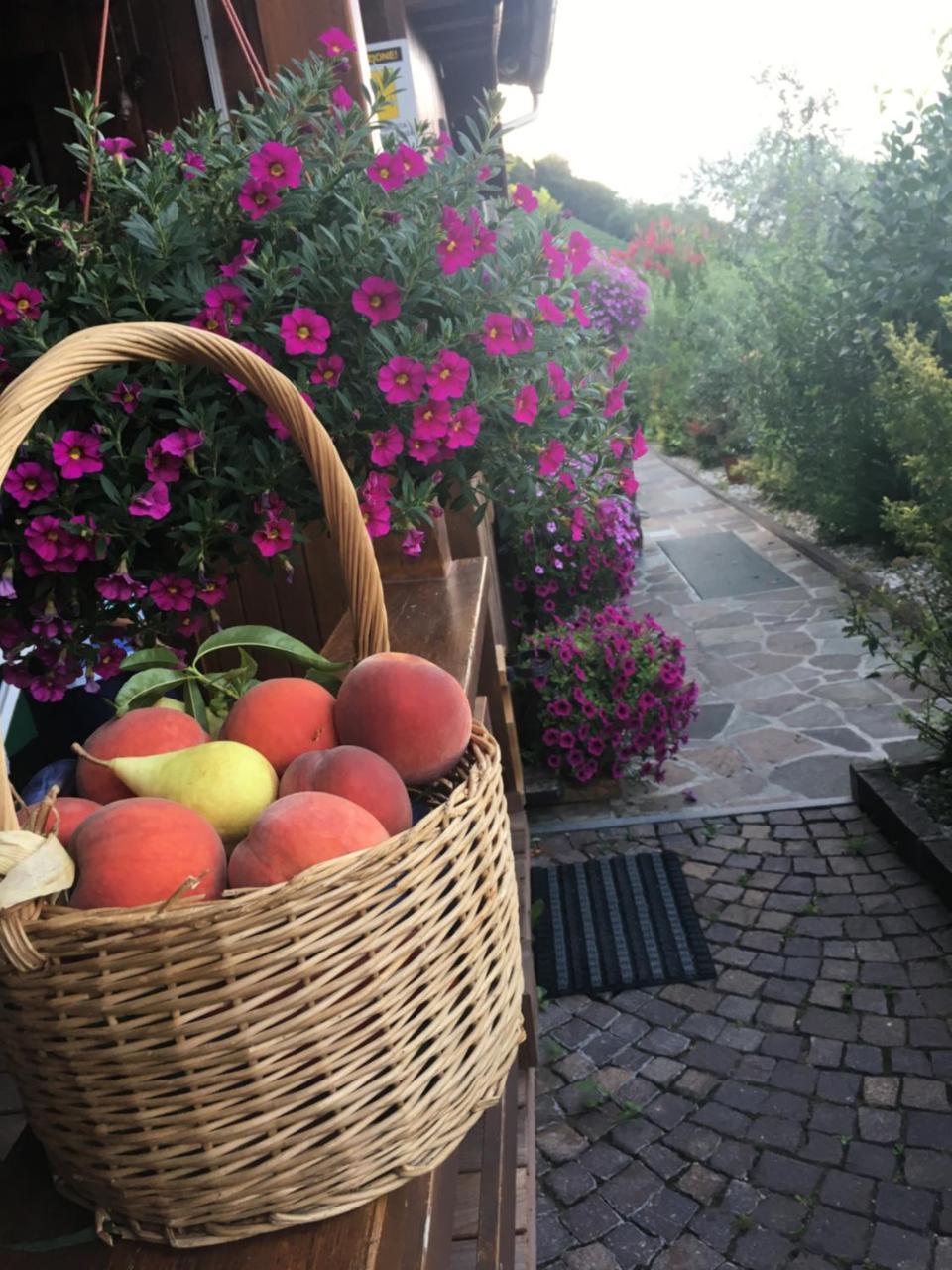 Garni San Paolo Hotel Eppan an der Weinstraße Buitenkant foto